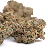 Permanent Marker Indoor THCa Flower Wholesale - Plants